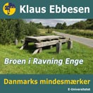 Broen i Ravning Enge